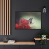 88289-119.jpg Butterfly on Red Flower Framed Canvas
