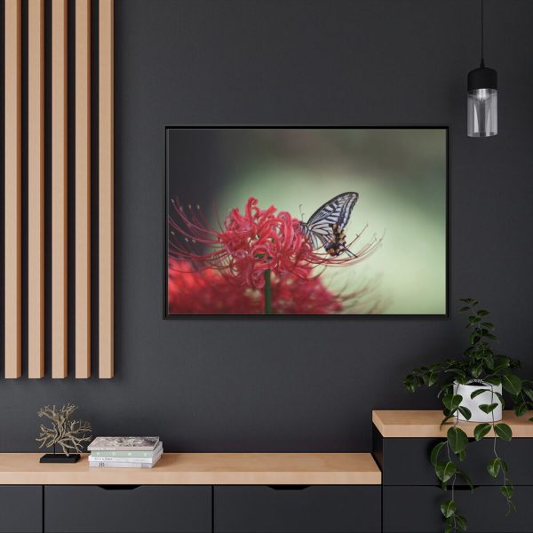 88289-119.jpg Butterfly on Red Flower Framed Canvas