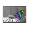 88289-121.jpg Colorful Butterfly on Flower Framed Canvas