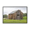 Old Cabin in Nature Framed Canvas