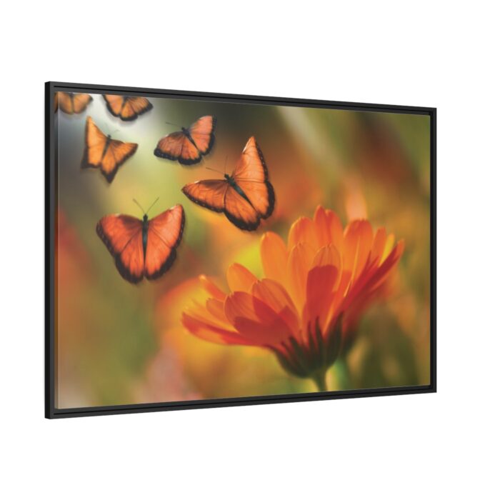Butterfly on Orange Flower Framed Camvas - Image 1