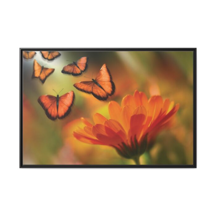 Butterfly on Orange Flower Framed Camvas - Image 2