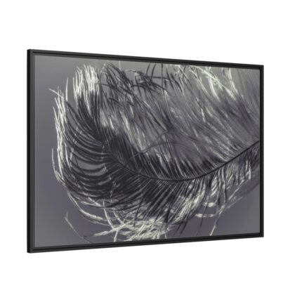 Bird Feather Framed Canvas