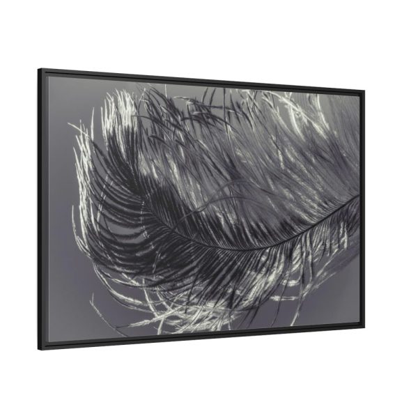 88289-1356.jpg Bird Feather Framed Canvas