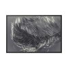 88289-1357.jpg Bird Feather Framed Canvas