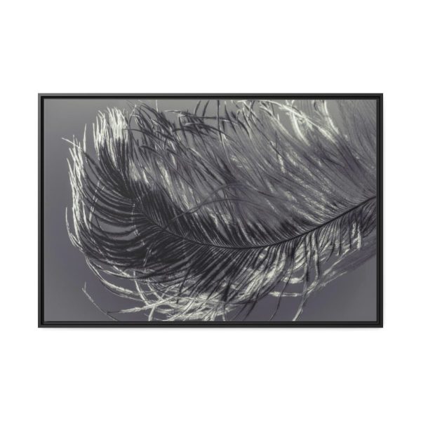 88289-1357.jpg Bird Feather Framed Canvas