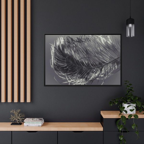 88289-1360.jpg Bird Feather Framed Canvas