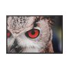 88289-1367.jpg Eye of Owl Framed Canvas
