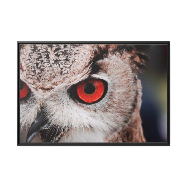 88289-1367.jpg Eye of Owl Framed Canvas