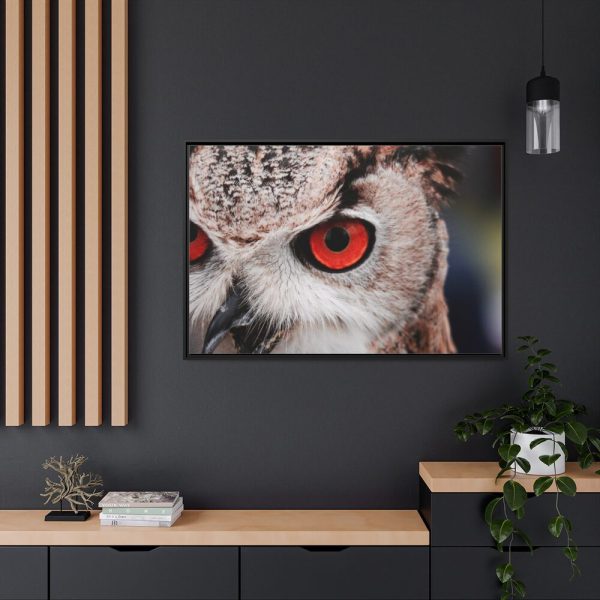 88289-1370.jpg Eye of Owl Framed Canvas
