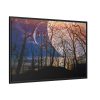 88289-1391.jpg Full Moon and Forest Night Darkness Framed Canvas