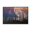 88289-1392.jpg Full Moon and Forest Night Darkness Framed Canvas