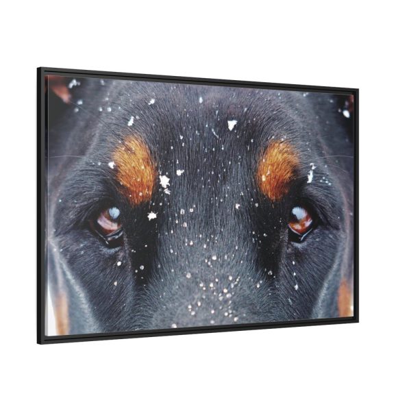 88289-140.jpg Eyes and Snowflakes Framed Canvas
