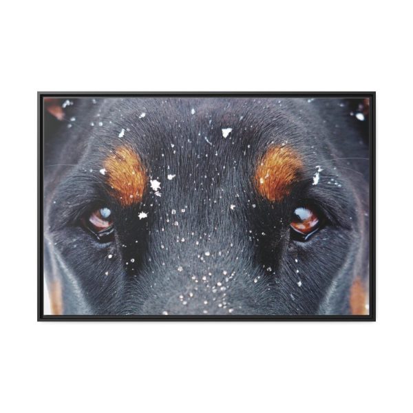 88289-141.jpg Eyes and Snowflakes Framed Canvas