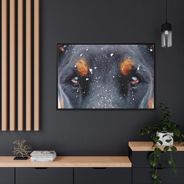 88289-144.jpg Eyes and Snowflakes Framed Canvas