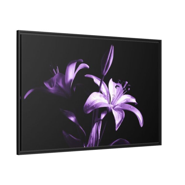 Purple Lily Framed Canvas