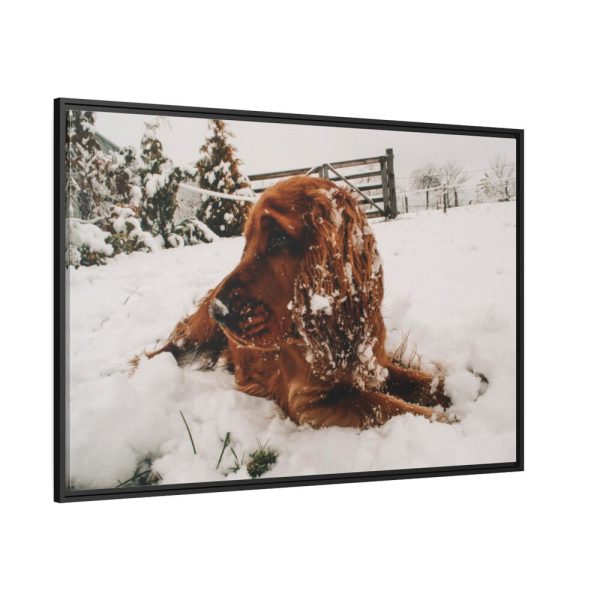 Dog Lying on Snow Framed Canvas