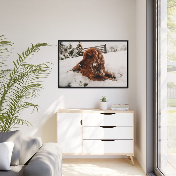 Dog Lying on Snow Framed Canvas