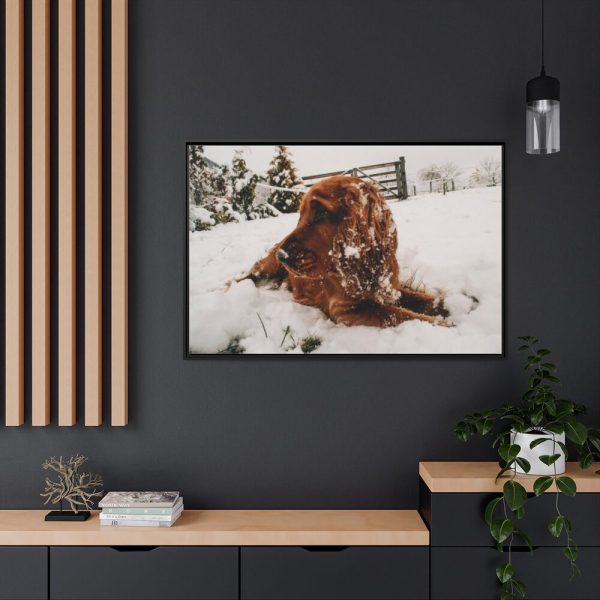 Dog Lying on Snow Framed Canvas