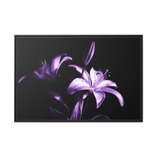 Purple Lily Framed Canvas