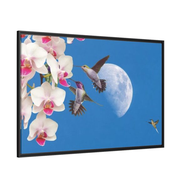 Humming Birds Framed Canvas