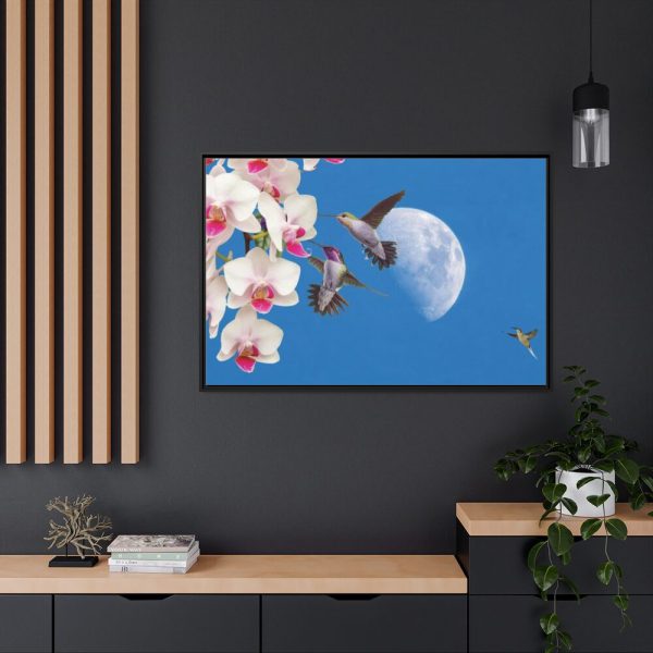 Humming Birds Framed Canvas