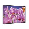 Orchids Flowers Framed Canvas