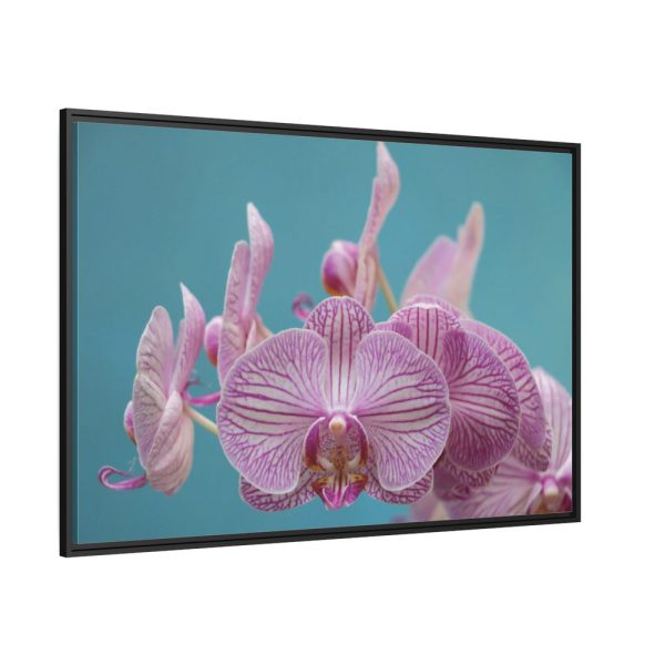 Purple Orchid Framed Canvas