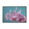 Purple Orchid Framed Canvas