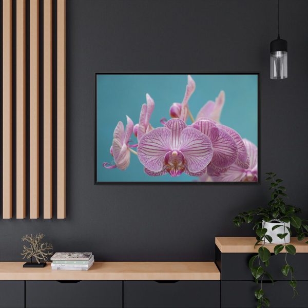 Purple Orchid Framed Canvas