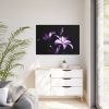 Purple Lily Framed Canvas