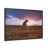 Free Dog at Sunset Framed Canvas