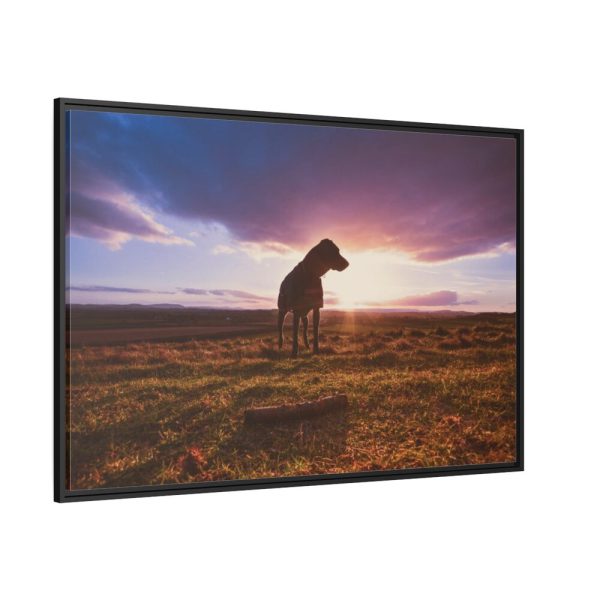Free Dog at Sunset Framed Canvas