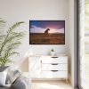 Free Dog at Sunset Framed Canvas