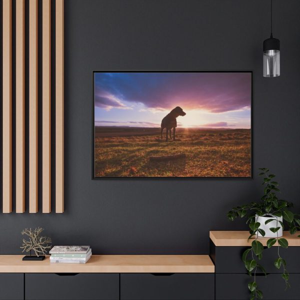 Free Dog at Sunset Framed Canvas