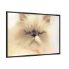 88289-190.jpg Angry Persian Cat Framed Canvas