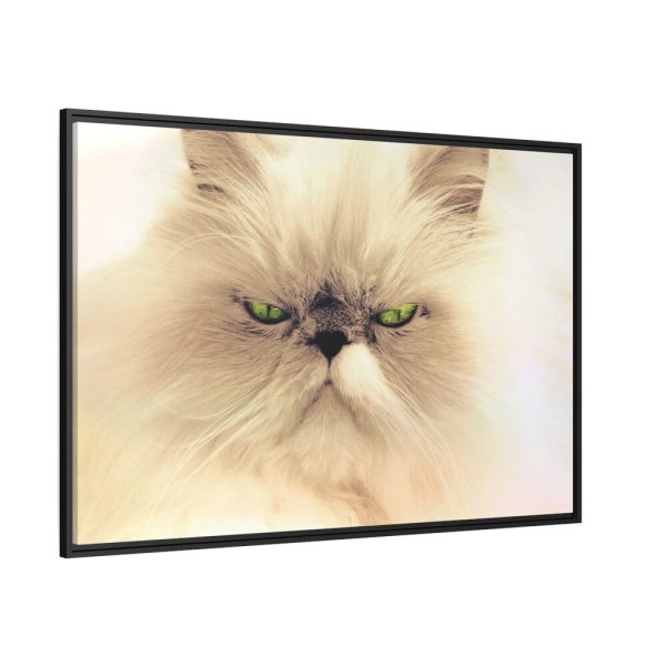 88289-190.jpg Angry Persian Cat Framed Canvas