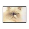 88289-191.jpg Angry Persian Cat Framed Canvas