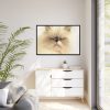 88289-193.jpg Angry Persian Cat Framed Canvas