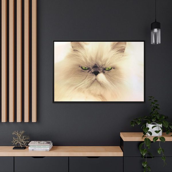 88289-194.jpg Angry Persian Cat Framed Canvas