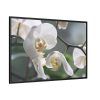 White Orchid Framed Canvas