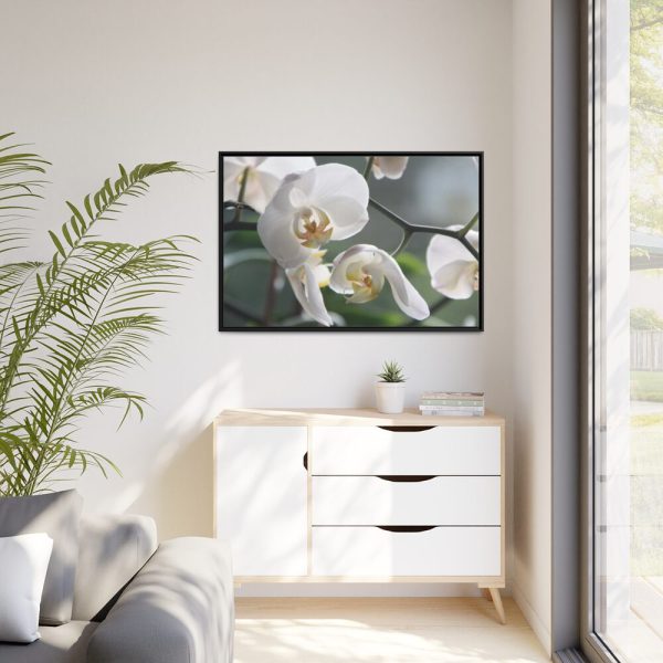 White Orchid Framed Canvas