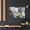White Orchid Framed Canvas