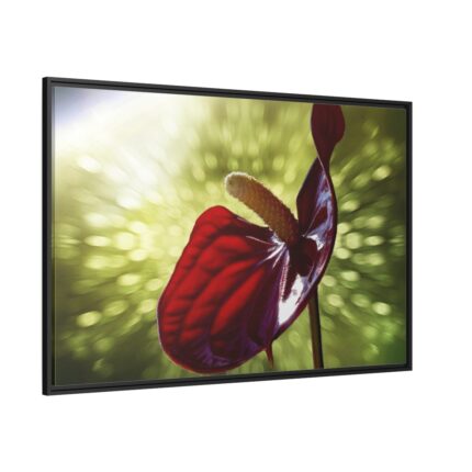 Red Lily Framed Canvas