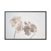 Beautiful White Orchid Framed Canvas