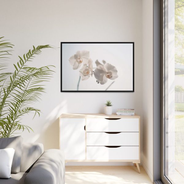 Beautiful White Orchid Framed Canvas