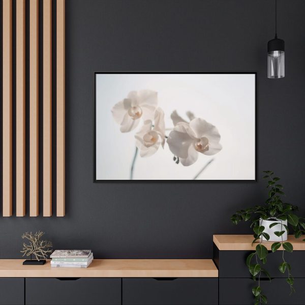 Beautiful White Orchid Framed Canvas