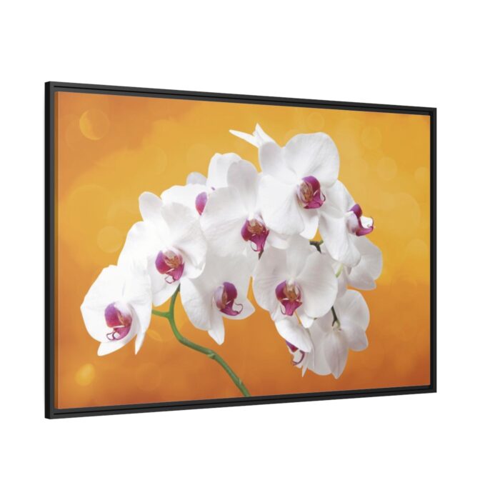 Orchid Plant Flower  Framed Canvas - Image 1