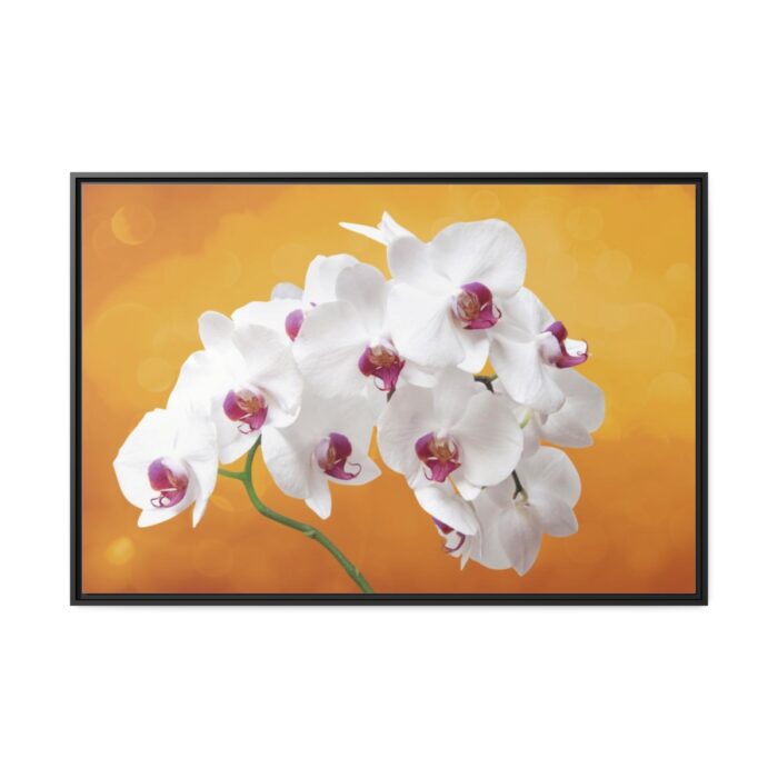Orchid Plant Flower  Framed Canvas - Image 2