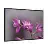 Macro Flower Plant Framed Canvas